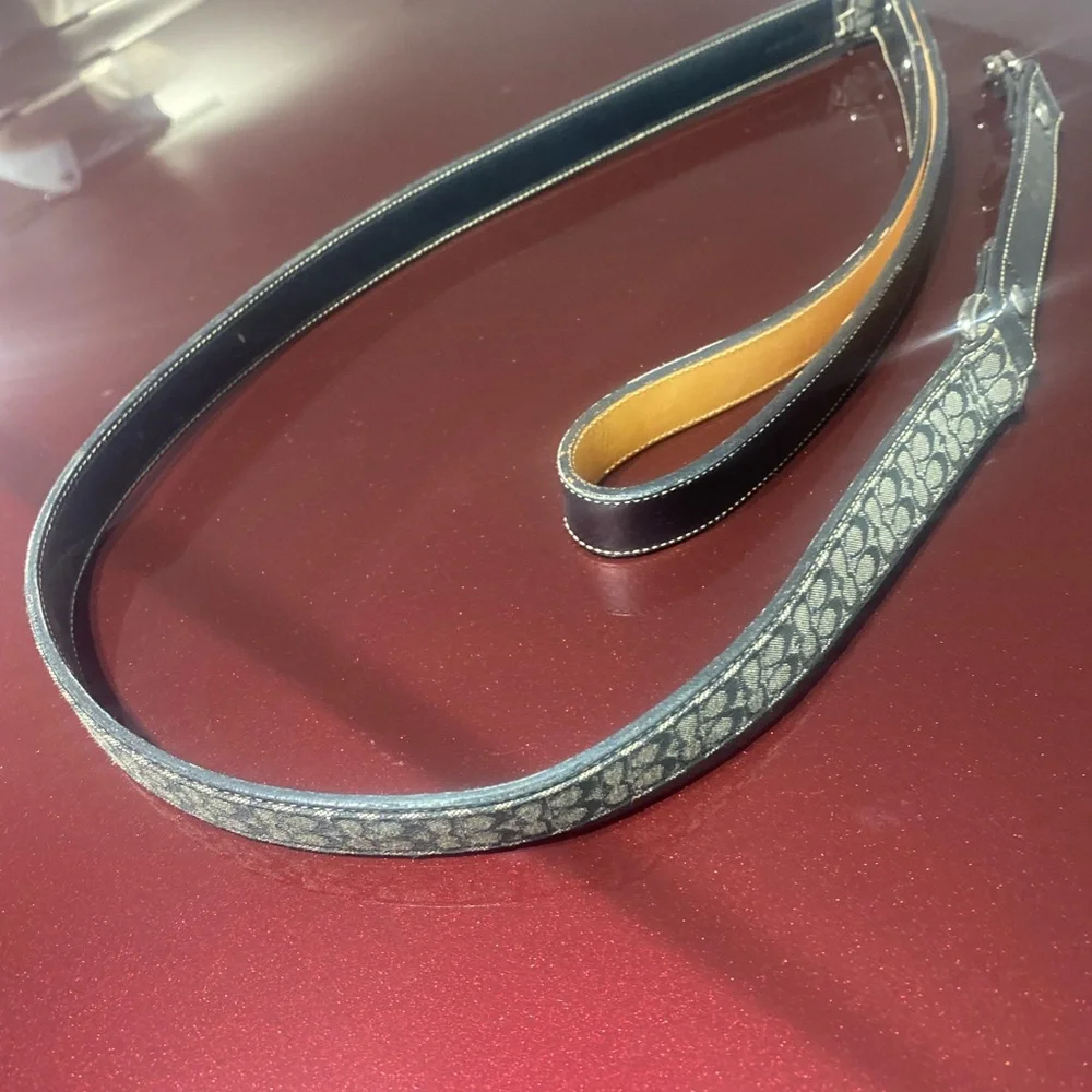 Coach Dog leash and collar